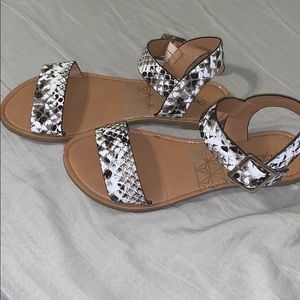 Snake print sandals!
